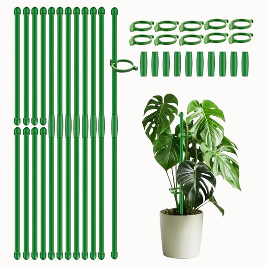 Tuteurs en fibre de verre verts avec clips, accompagnés d'une plante Monstera dans un pot blanc