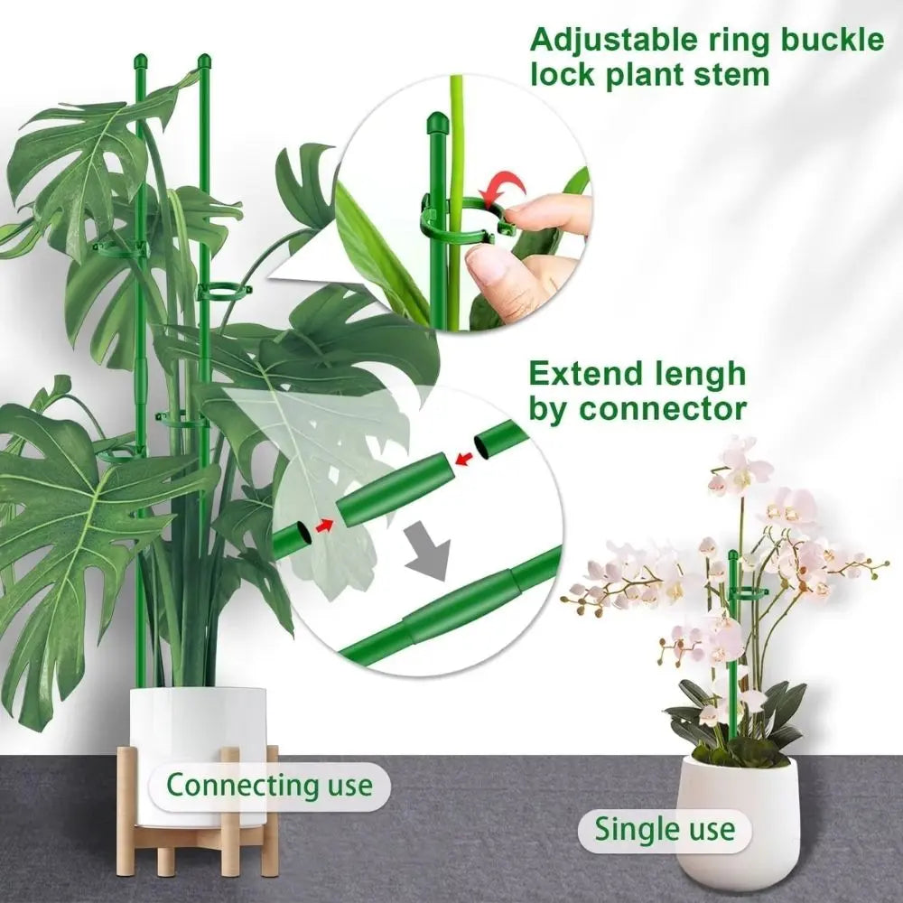 Tuteur en fibre de verre vert ajustable pour soutenir des plantes d'intérieur dans un pot blanc